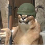 anti floppa military
