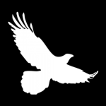 White Eagles Community
