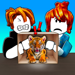 What's in the BOX?