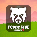 Teddy i niedźwiedzie