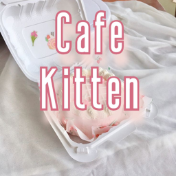 Cafe Kitten