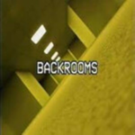 The Backrooms: Secret Project Group