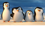 The Penguin Crew!