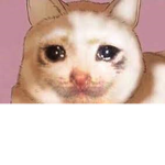 abcdefghijklmnopqrxtuvwxyz