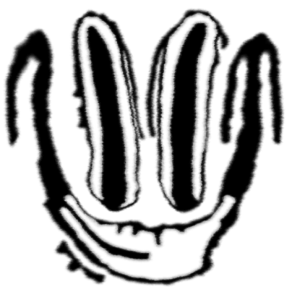 Scary face 0.5 Roblox decal