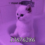 Violet dhc