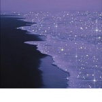 ʙʜᴀᴅᴅɪᴇ ᴅɪᴏʀ