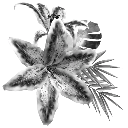 Silver Tropical Summer Lily Hair Flowers Roblox item