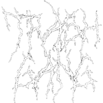 Devoted Ent
