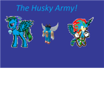 The Husky army!