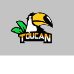 The Toucan Family
