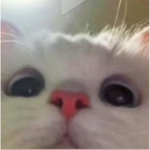 Dylan and Leah squad