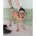 0 icon