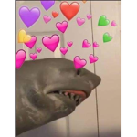 ツ sʜᴀʀᴋʏ ツ Fan club! <3