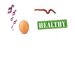 Council of Eggs
