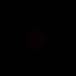 •Lunita•