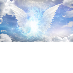 House Angel