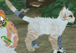 [!!Ivyclan!!]