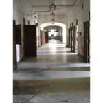 Misty Falls Mental Institution