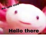 ! Axolotl for Life !
