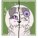 +SageClan+ {A Warrior Cats Role-Play Group}