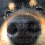 Bonnie Game