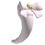♡ Kitty Tail W Bow
