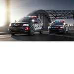THE GROUP OF THE LAW ENFORCEMENT