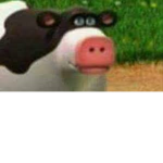 apropiatez