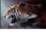 Tiger ninja
