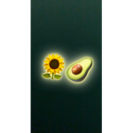 The sunflower avocados!