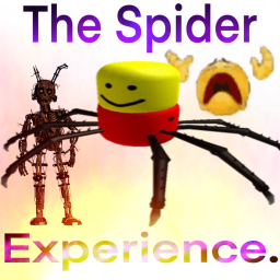 THE SPIDER EXPERIENCE