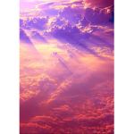 Sunset...Rose