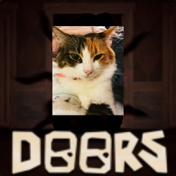 DOORS 👁️ But Cat (Solo)