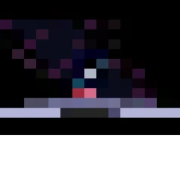 S.W.F.N.R icon