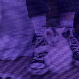 💿˙⋆✮💜✮⋆˙💿