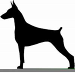 shadow dogos