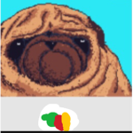 fat pug's united
