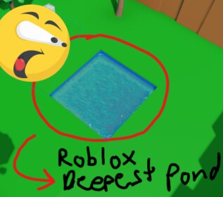 The Deepest Pond