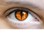 Butter Eyes