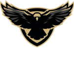 Hawk Defense Forces