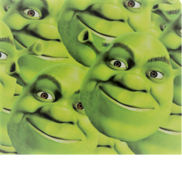 cart ride into shrek !