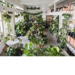 The real flower shop <3