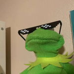 «Kermit Nation»