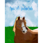 Crystal Canter Equestrian Centre