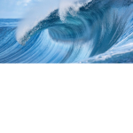 O & P Roblox fan group
