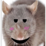 Epic rat united is yes