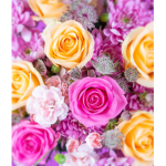 Marley+friends<3+anyone