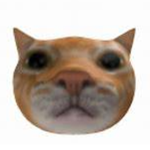 $marty