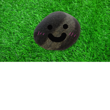 Pet Rock
